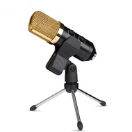 Usb Microphone Reverb Microphone Set for Computer Conference Recording