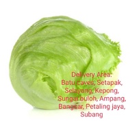 Iceberg Lettuce (Salad Bulat) 1 bijiRm 5.00