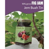Jem Buah Tin / Fig Jam