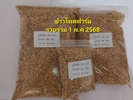 เมล็ดพันธุ์ข้าว 303 AGT ขนาด 100 กรัม (ไทย)