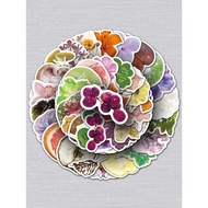 sampul raya tebal kad raya 100 spesimen tumbuhan, corak bunga buah, pelekat kreatif, fon telinga, pe