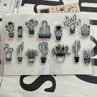 cactus 00 Succulents Transparent Seal Crystal