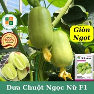 Ngoc Nu F1 cucumber seeds are super fruity, self-pollinated (crispy, sweet, beautiful)