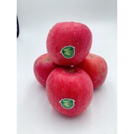 China Fuji Apple L 苹果