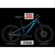 SEPEDA ANAK BMX 20 POLYGON RELIC MTB Sepeda Gunung