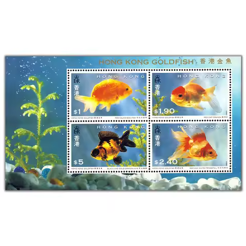 1993 , Goldfish 1 , Souvenir sheet . China Hong Kong Post Stamps , Philately , Postage , Collection
