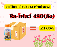 รีล-โฟลว์ เบอร์ 480 (ลัง) 24ขวด ฮอร์โมนกระตุ้นน้ำยางพารา ยาเร่งน้ำยาง ยาทาหน้ายาง น้ำยางไหลดี