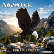 Children's Toys Simulation Animal Model Eagle Golden Eagle You Falcon Snake Eagle White-Headed Sea E