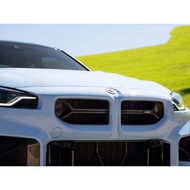 BMW G87 M2 CSL Grill Dry Carbon B1548