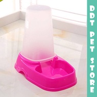 DDT PET STORE !! Auto feeder food / drink bekas makan / minum automatik 25*23*16cm