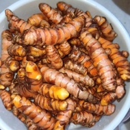 Kunyit Segar Kunyit Kuning Segar Kunyit Bumbu Masak