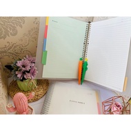 A4 TRANSPARENT FILE BINDER