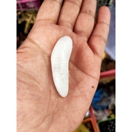 Mutya Ng Linta White Charms