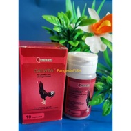 Calvita laga-winner calsium chicken laga ayam sabung ayam laga