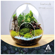 โหลแก้วทรงไข่ โหลแก้วสวยๆ พร้อมส่งจากไทย Terrarium ทำสวนขวด สวนจิ๋ว DIY อุปกรณ์ตกแต่งสวน