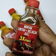 Minyak Lintah + Belacak Asli