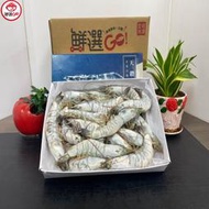 【鮮選GO !】特大活凍生白蝦(26/30 600g/盒)