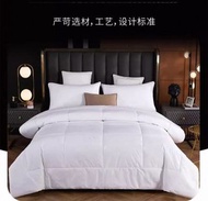 酒店級羽絲絨被 + 被套床單 淺米色 棉被 四季被 單人床