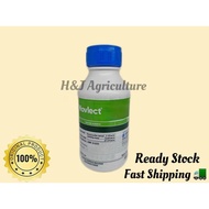 500ML NOVLECT / CORTEVA / RACUN RUMPAI PADI/ LOYANT CAMPUR CLINCHER