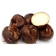 1 kg Sengkuang cina (water chesnuts)
