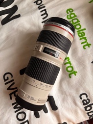 Canon EF 70-200mm f/4L USM Lens