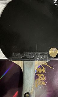 乒乓球拍狂飆龍5x 新膠