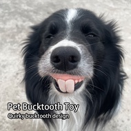 Funny pet dentures, gag dentures, cute little pet accessories