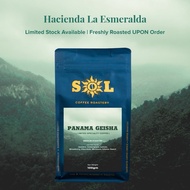 PANAMA GEISHA ( Specialty Coffee Beans ) 100g/pkt