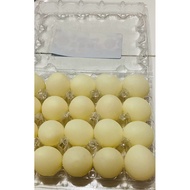 Squishy egg toy, egg toy