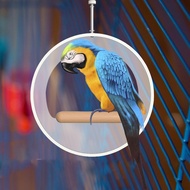 [Finevips1] Bird Perch Toy Swing Cage Accessories Cage Perch for Lovebird Cup Cockatiels