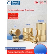 B. b.Injection Copper Nut Hot Melt Copper Flower Nut Earthy Character Pre-Buried Part Knurled Copper