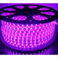 SMD 5050 pink LED strip lights pink LED meter light/s pink ceiling light/s pink LED ceiling light/s