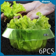 [Direrxa] 6Pcs Garden Plant Cloche Protective Covers Plant for Gardeners