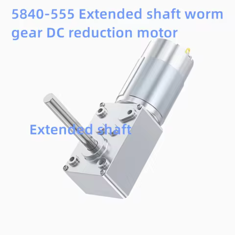 5840-555 Dual Axis Double Axis Plus Long Axis Single Axis Extended Axis Worm Gear DC Reduction Motor