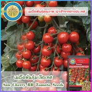 เมล็ดพันธุ์มะเขือเทศ (Sun Cherry RB Tomato Seeds)