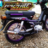 FIZ R ALFA SIGMA standard racing shield exhaust R474MF