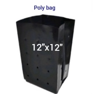 12"x12" polybag(1piece)