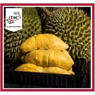 [FRESH FROZEN] Raub Premium BG MSW Durian (AAA+) 猫山王榴莲 net 400g