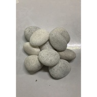 Aquarium White Stone  XXL Size 1kg (4cm-8cm)