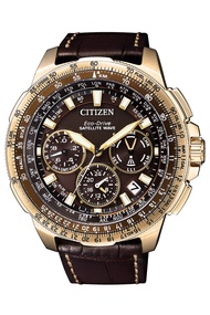 พร้อมส่ง นาฬิกา Citizen Watch  CC9023-13X   ของแท้100% Warranty ศูนย์ไทย