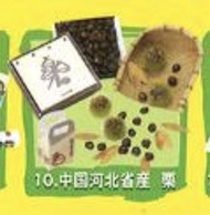 RE-MENT rement 食玩: 產地直送第2代 中國河北省產 栗子