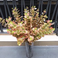 Apple branches and leaves with many colors