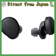 Sony WF-XB700 True Wireless Earbuds: Deep Bass Model / Up to 9 Hours Continual Playback / Built-in M