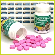 ↙ ┐ ╰ ◮ Vermifuge Dewormer Tablet (Sold per Tablet)