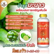 ปุ๋ยน้ำสูตรพรีเมียมสำหรับมะนาว โอเมก้า 0-25-30 เปิดตาดอก ผลสวย บำรุงดอก บำรุงผล น้ำหนักดี ผลสวย ขนาด
