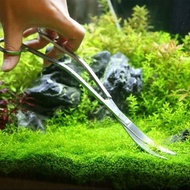 Stainless Steel Aquatic Plant Scissors Mao Xuewang Straight Cut Curved Wave Aquarium Dedicated Trimm