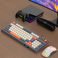 K98 RAIKU mechanical keyboard, no noise gaming keyboard, low latency gaming keyboard.