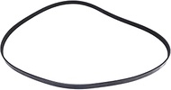 V-Belt R135822 Compatible for John Deere 5210 5310 5320N 5410 5510 5415 5520 5603 5420 5615 5705 Tra