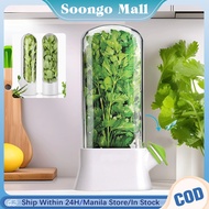 Portable Herb Storage Container Refrigerator Multi-Purpose Fresh-Keeping Box For Cilantro Asparagus
