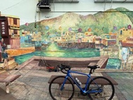 Giant TCR Advanced  3 公路車